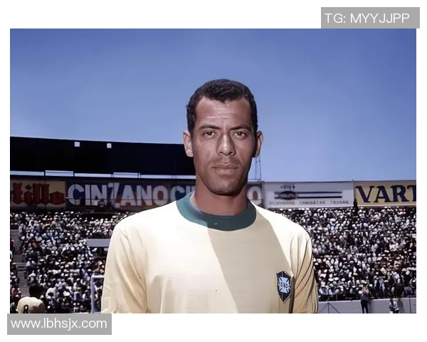 3号秋衣足球明星的传奇故事与赛场背后的奋斗历程揭秘 3号秋衣足球明星的传奇故事与赛场背后的奋斗历程揭秘