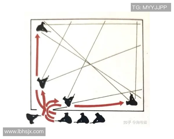 成都羽毛球队整体压制战术解析与实战应用探讨 成都羽毛球队整体压制战术解析与实战应用探讨